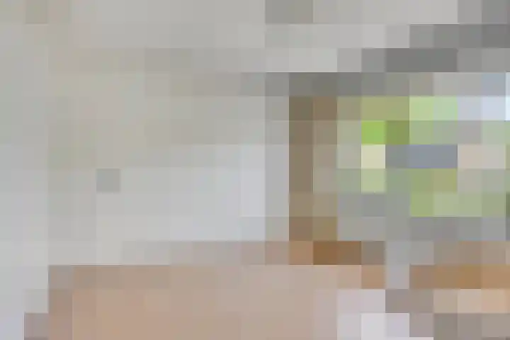 Kloosterhoek 21 Raalte thumbnail 12