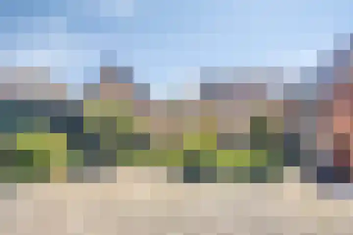Kloosterhoek 21 Raalte thumbnail 24