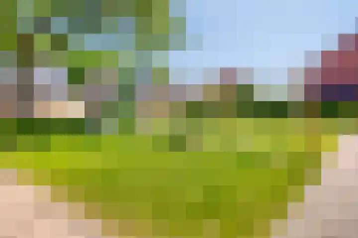 Kloosterhoek 21 Raalte thumbnail 27