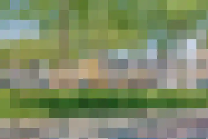 Kloosterhoek 21 Raalte thumbnail 28