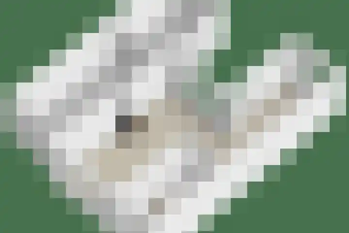 Kloosterhoek 21 Raalte thumbnail 32