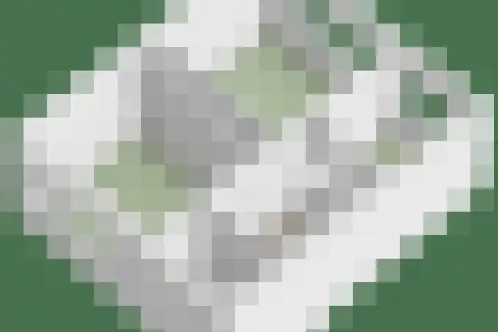 Kloosterhoek 21 Raalte thumbnail 33