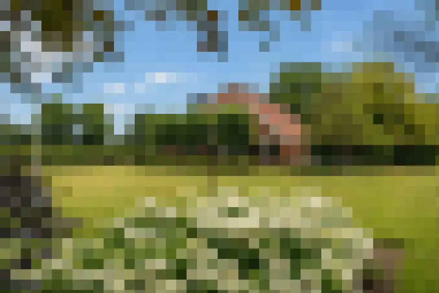 Kloosterhoeksweg 5 in Wierden