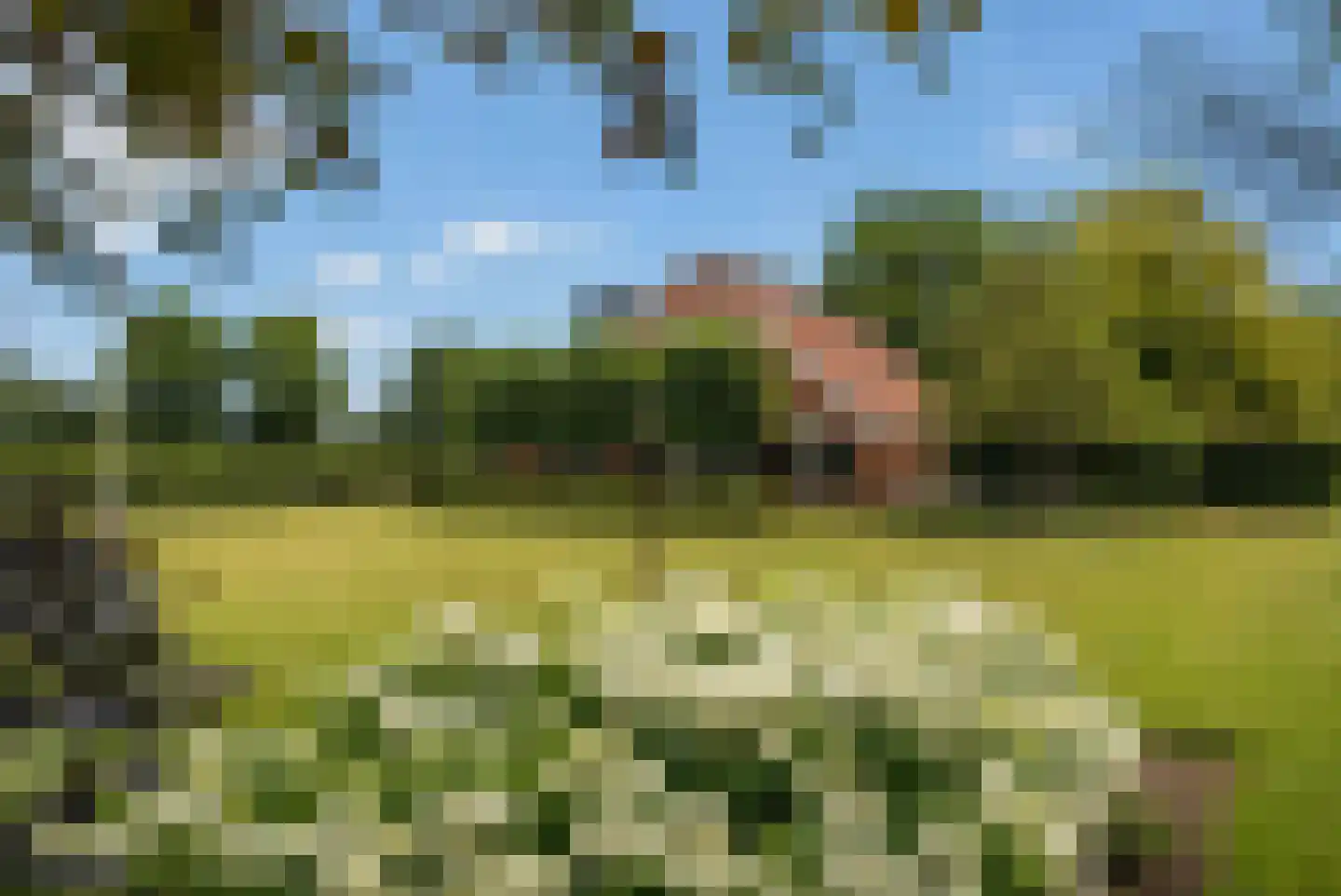Kloosterhoeksweg 5 Wierden