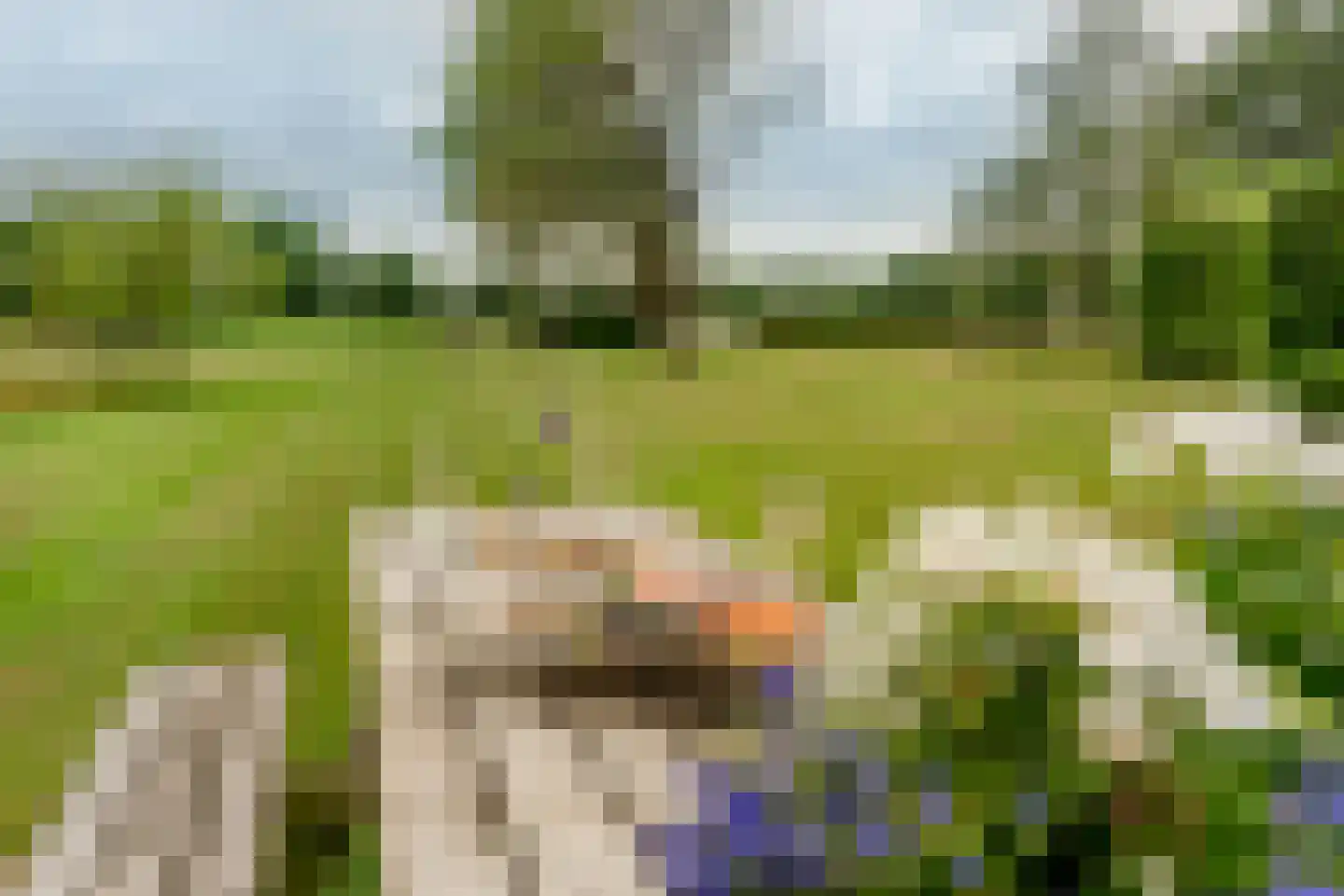 Kloosterhoeksweg 5 Wierden thumbnail 10