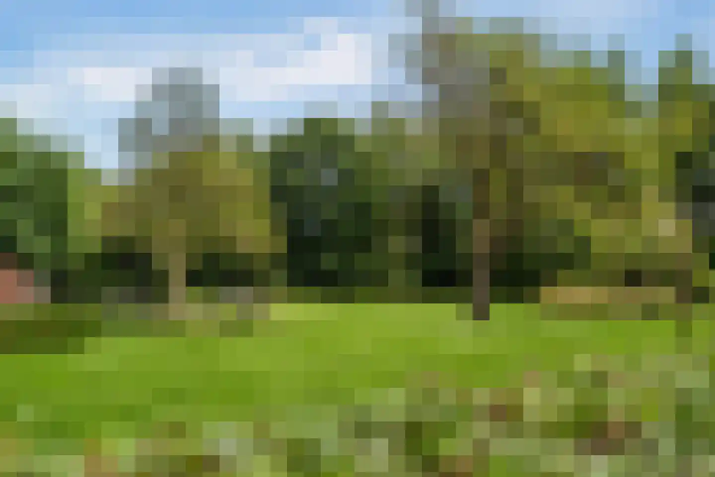 Kloosterhoeksweg 5 Wierden thumbnail 11