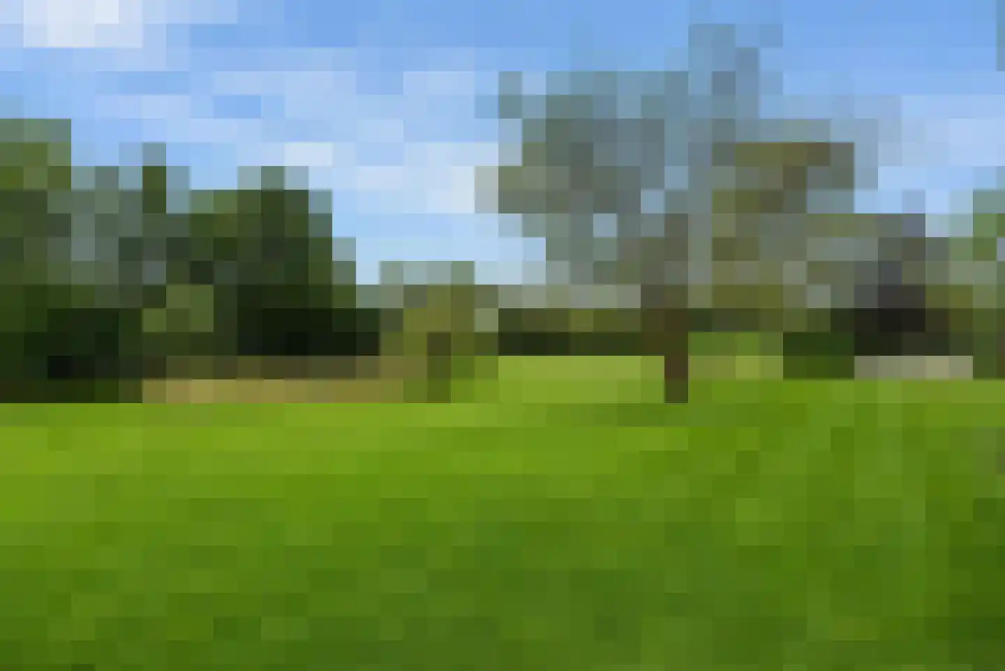 Kloosterhoeksweg 5 Wierden thumbnail 13