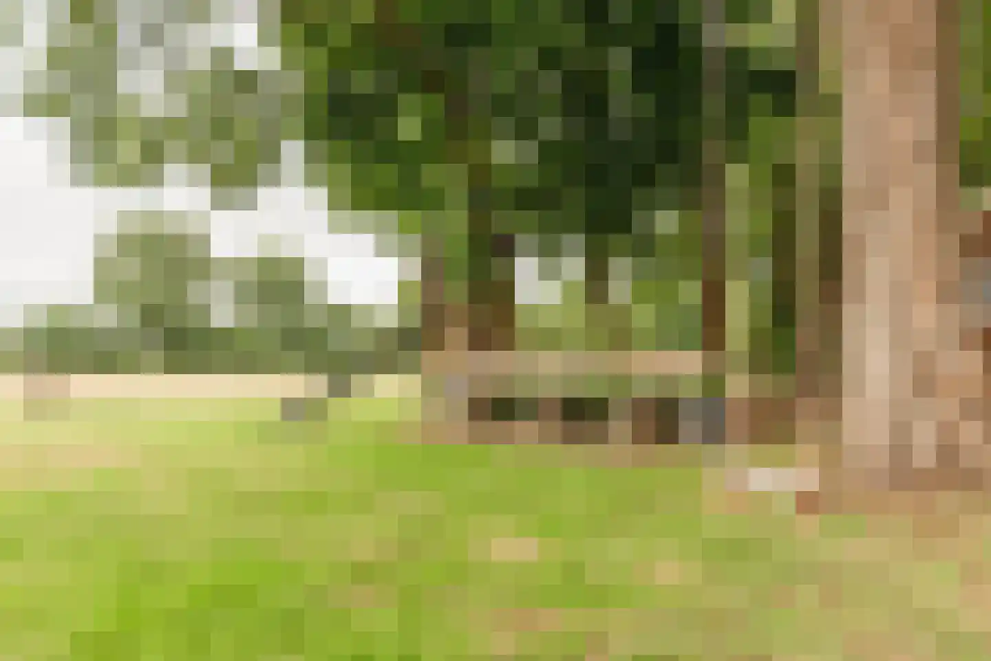 Kloosterhoeksweg 5 Wierden thumbnail 14