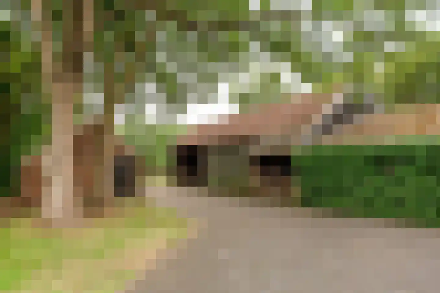 Kloosterhoeksweg 5 Wierden thumbnail 16