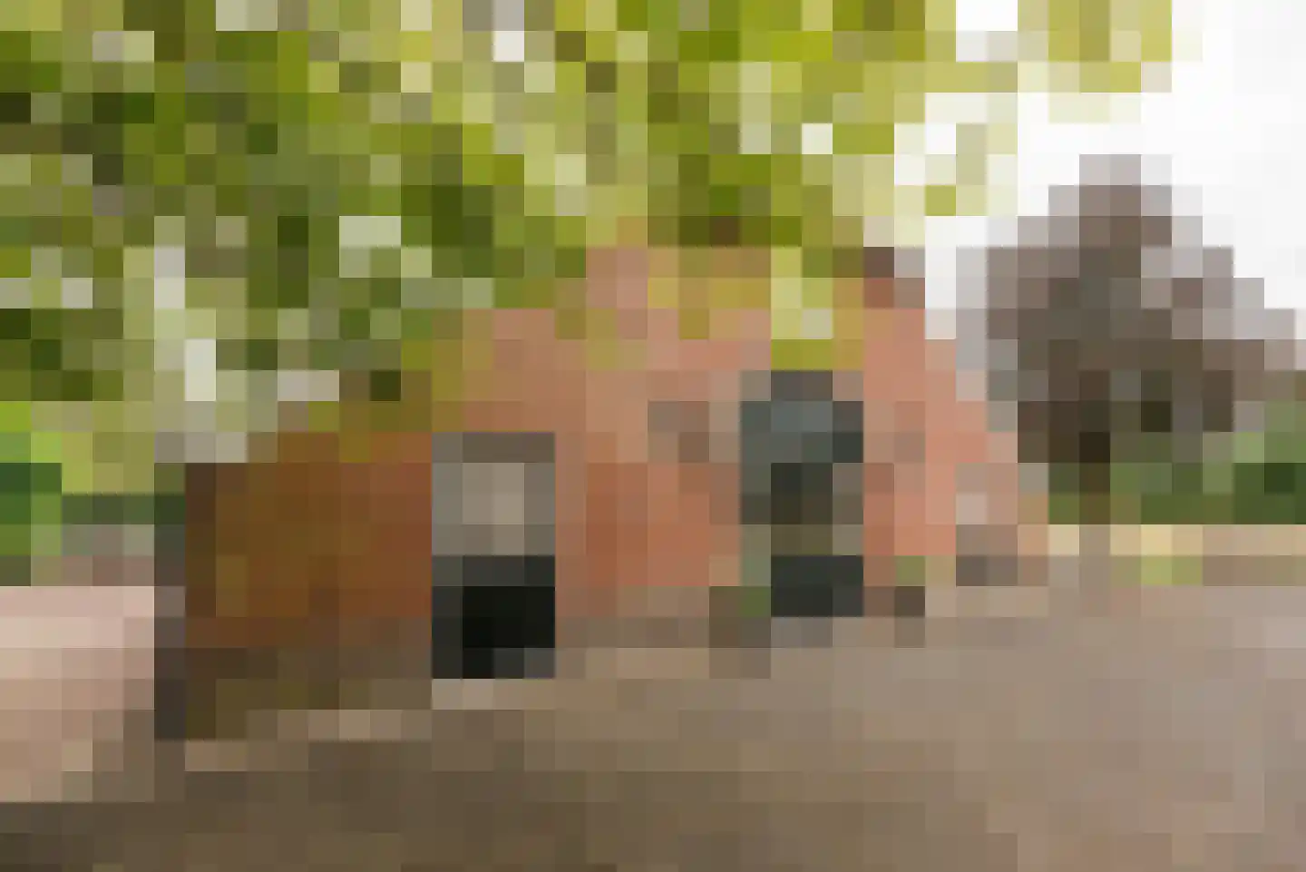 Kloosterhoeksweg 5 Wierden thumbnail 17