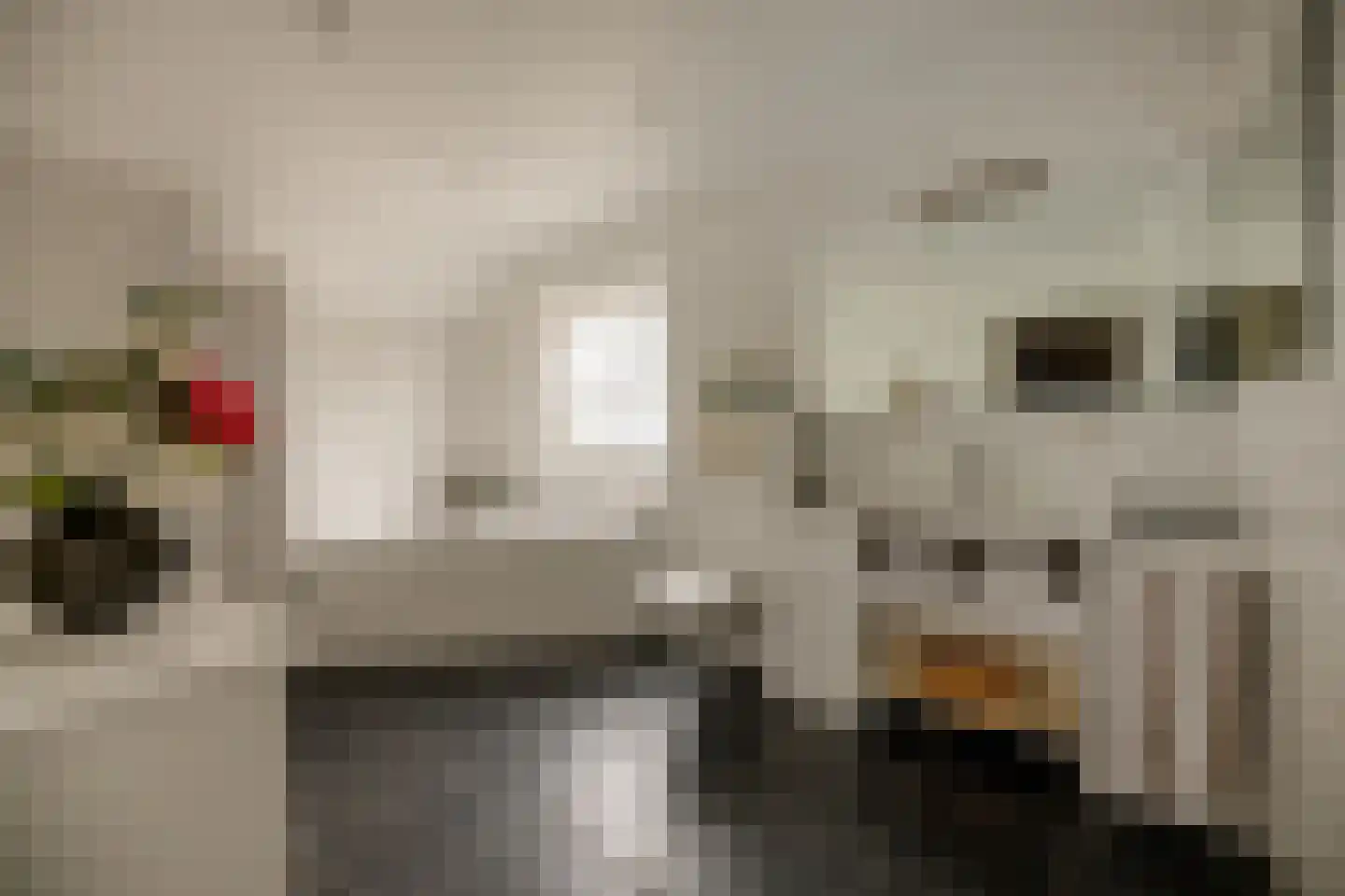 Kloosterhoeksweg 5 Wierden thumbnail 22