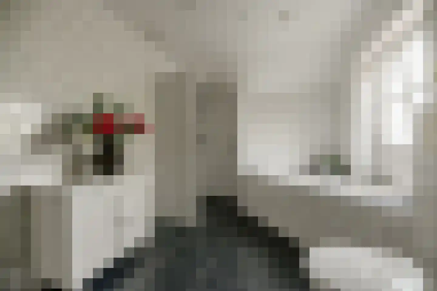 Kloosterhoeksweg 5 Wierden thumbnail 23
