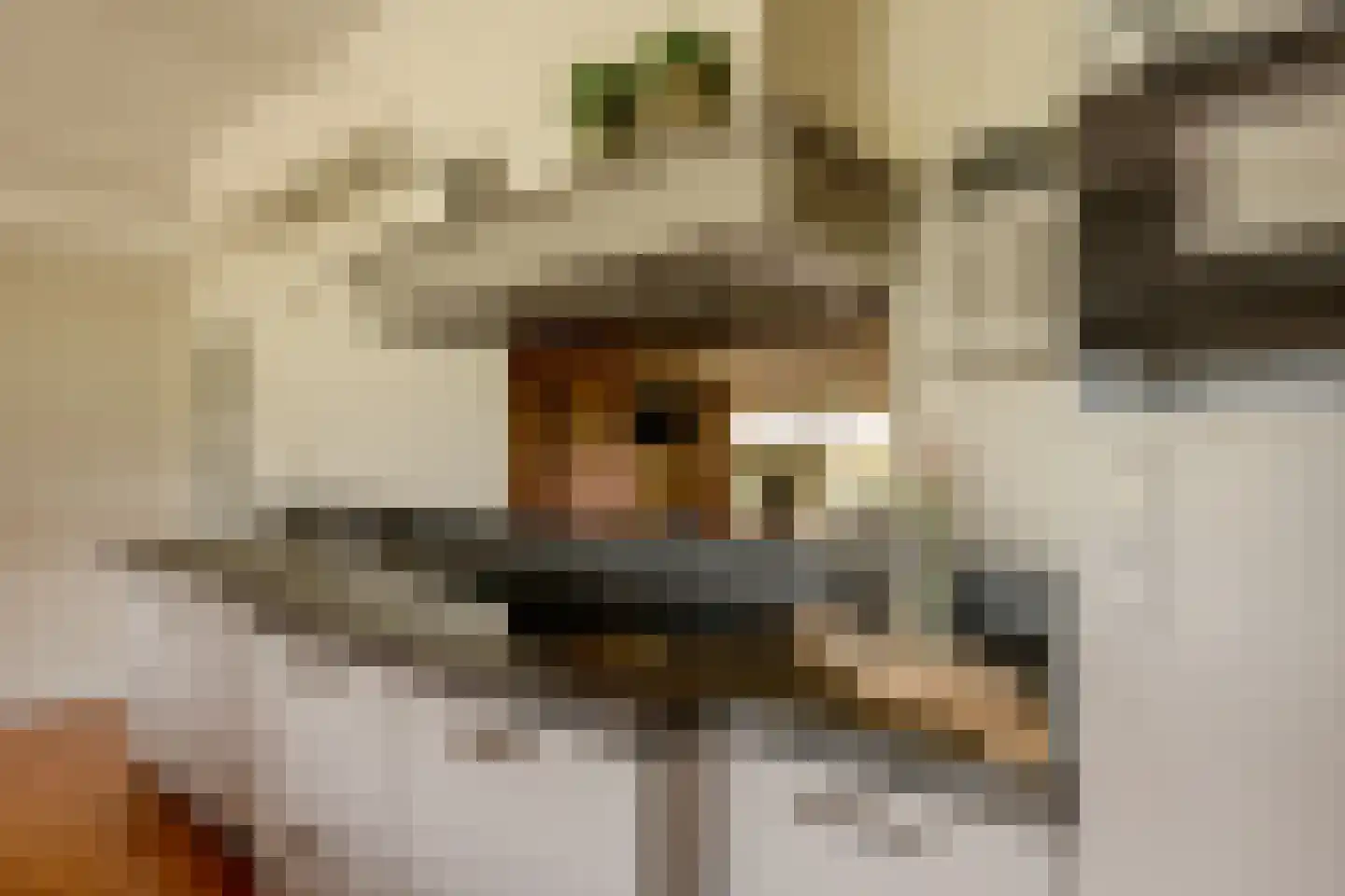 Kloosterhoeksweg 5 Wierden thumbnail 27