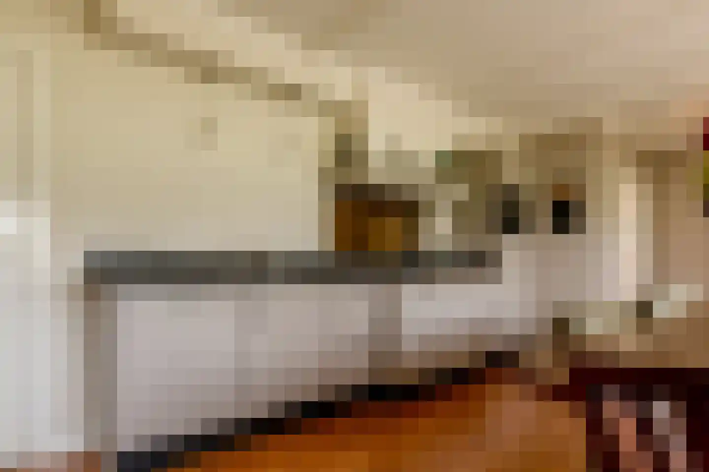Kloosterhoeksweg 5 Wierden thumbnail 28