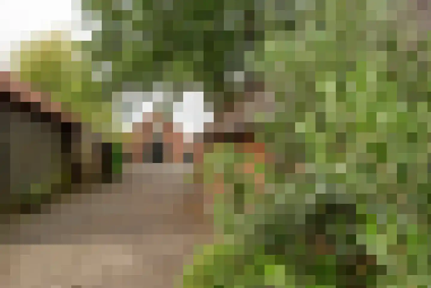 Kloosterhoeksweg 5 Wierden foto 3