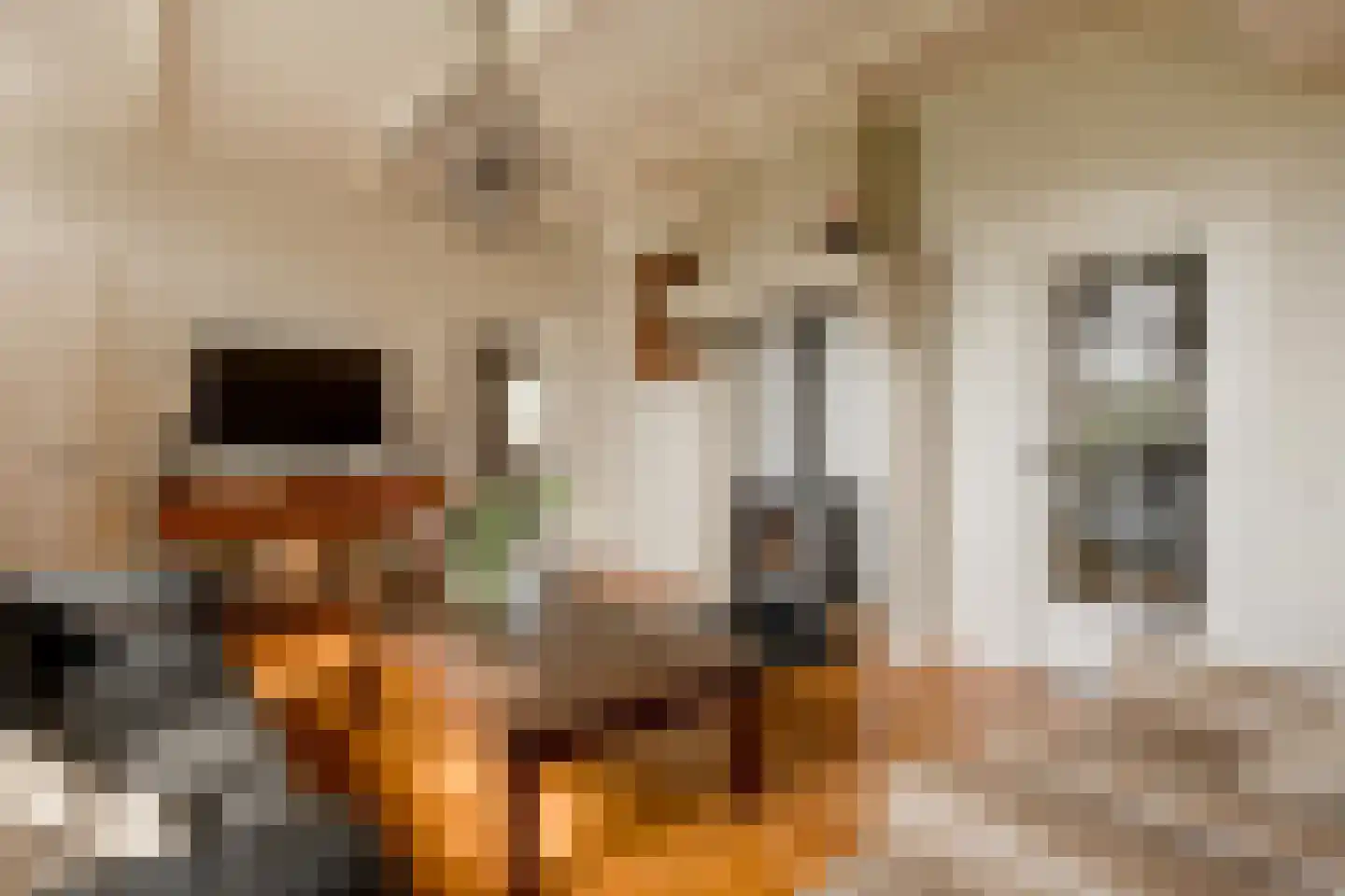 Kloosterhoeksweg 5 Wierden thumbnail 30