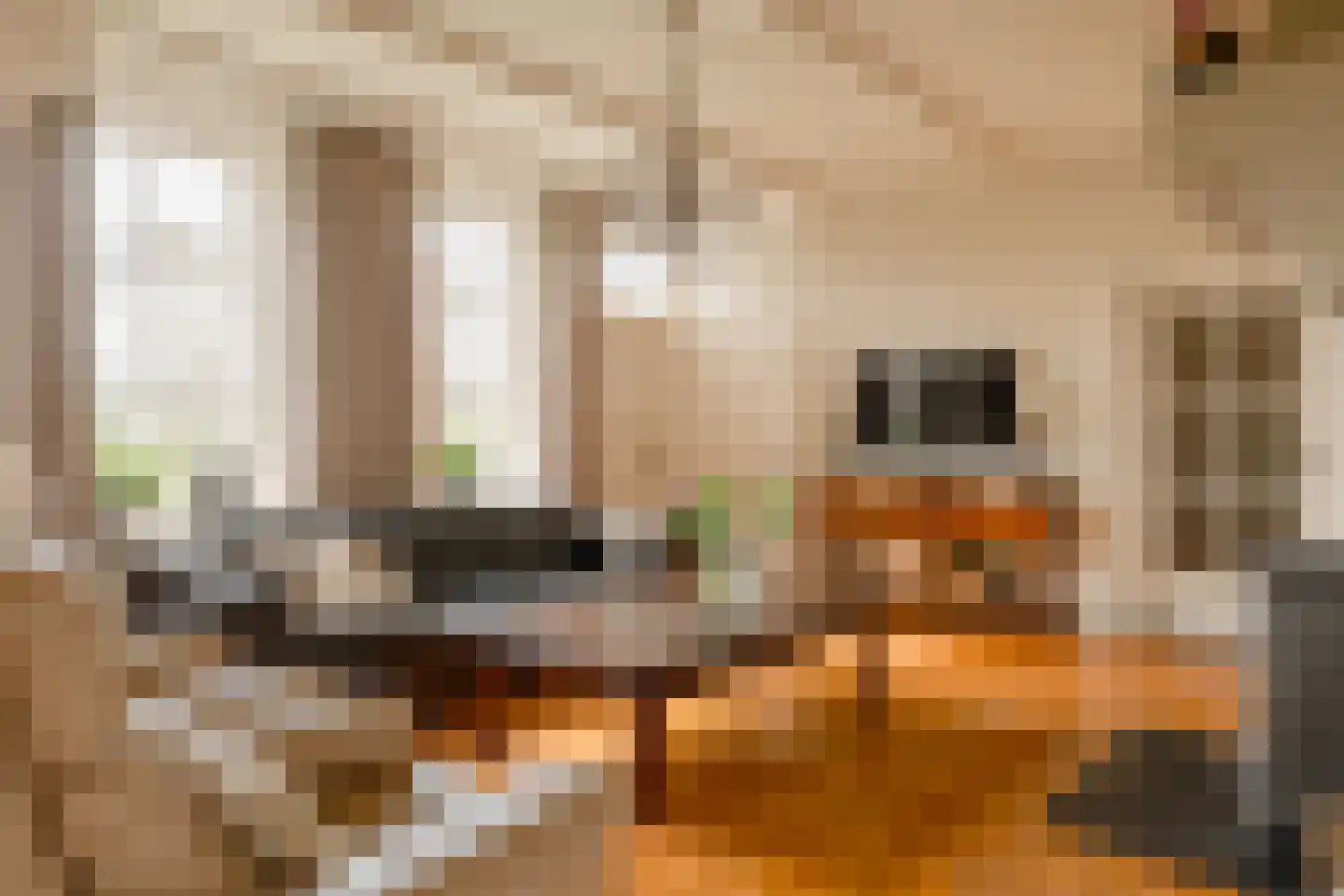 Kloosterhoeksweg 5 Wierden thumbnail 32