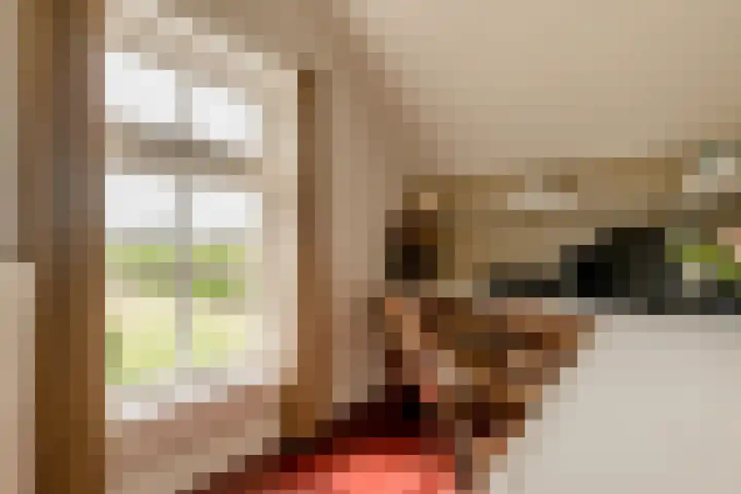 Kloosterhoeksweg 5 Wierden thumbnail 33