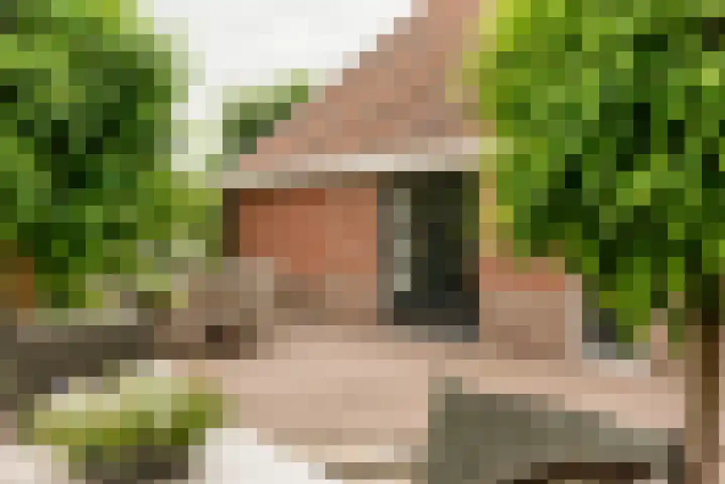 Kloosterhoeksweg 5 Wierden thumbnail 36