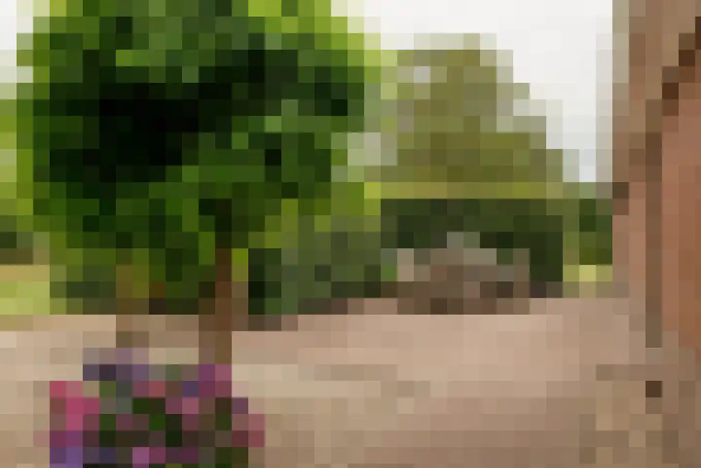 Kloosterhoeksweg 5 Wierden thumbnail 37