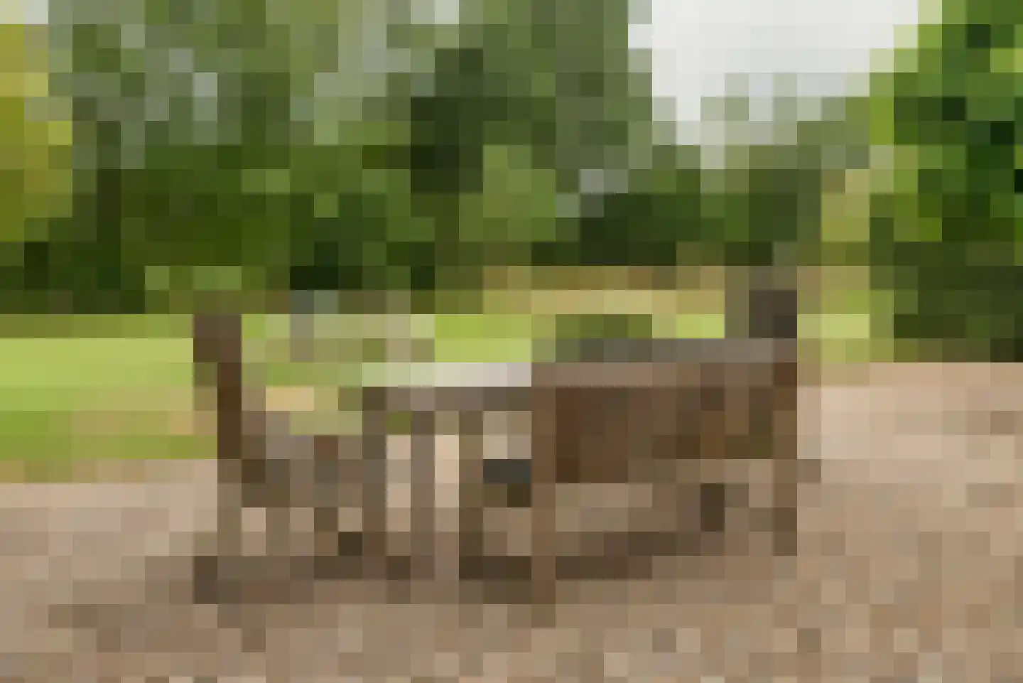 Kloosterhoeksweg 5 Wierden thumbnail 38