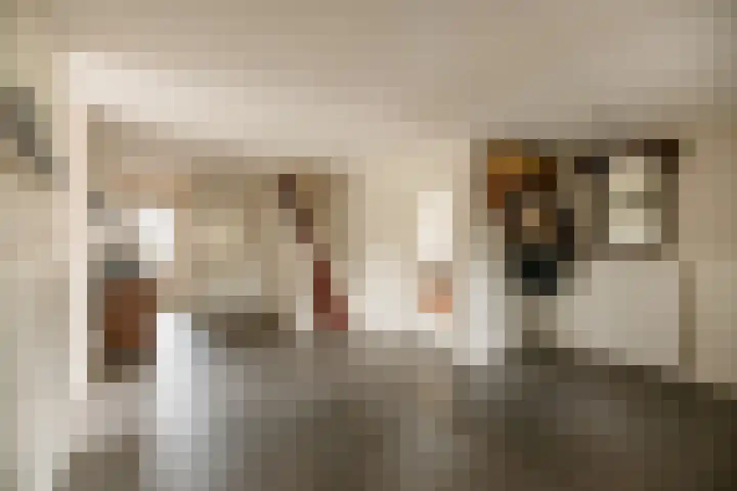 Kloosterhoeksweg 5 Wierden thumbnail 39