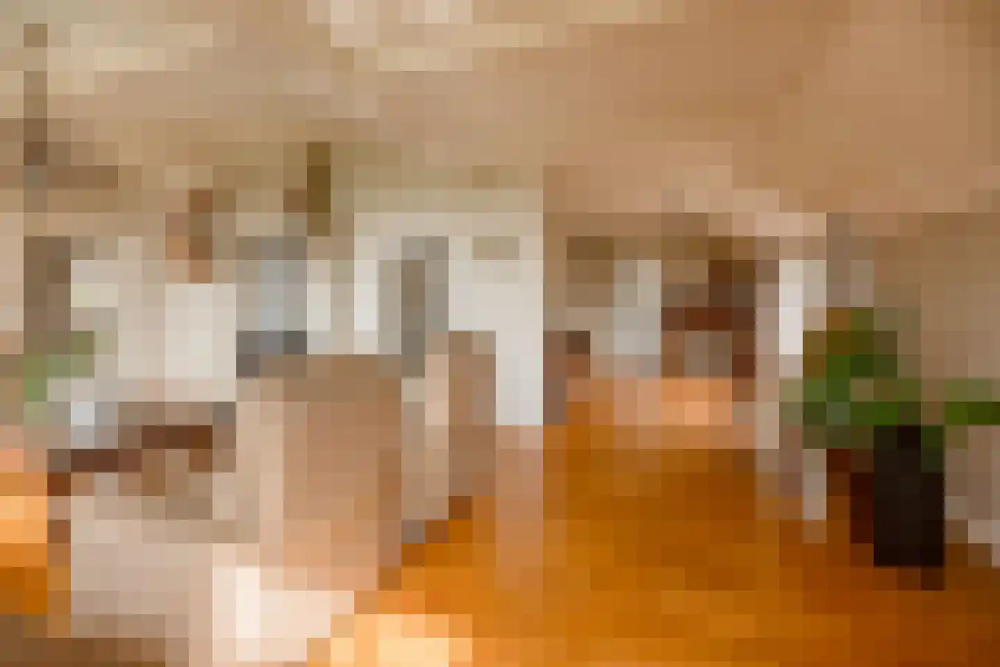 Kloosterhoeksweg 5 Wierden thumbnail 4