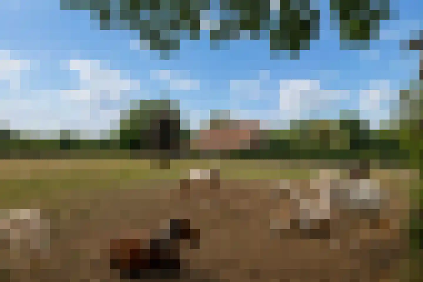 Kloosterhoeksweg 5 Wierden thumbnail 5