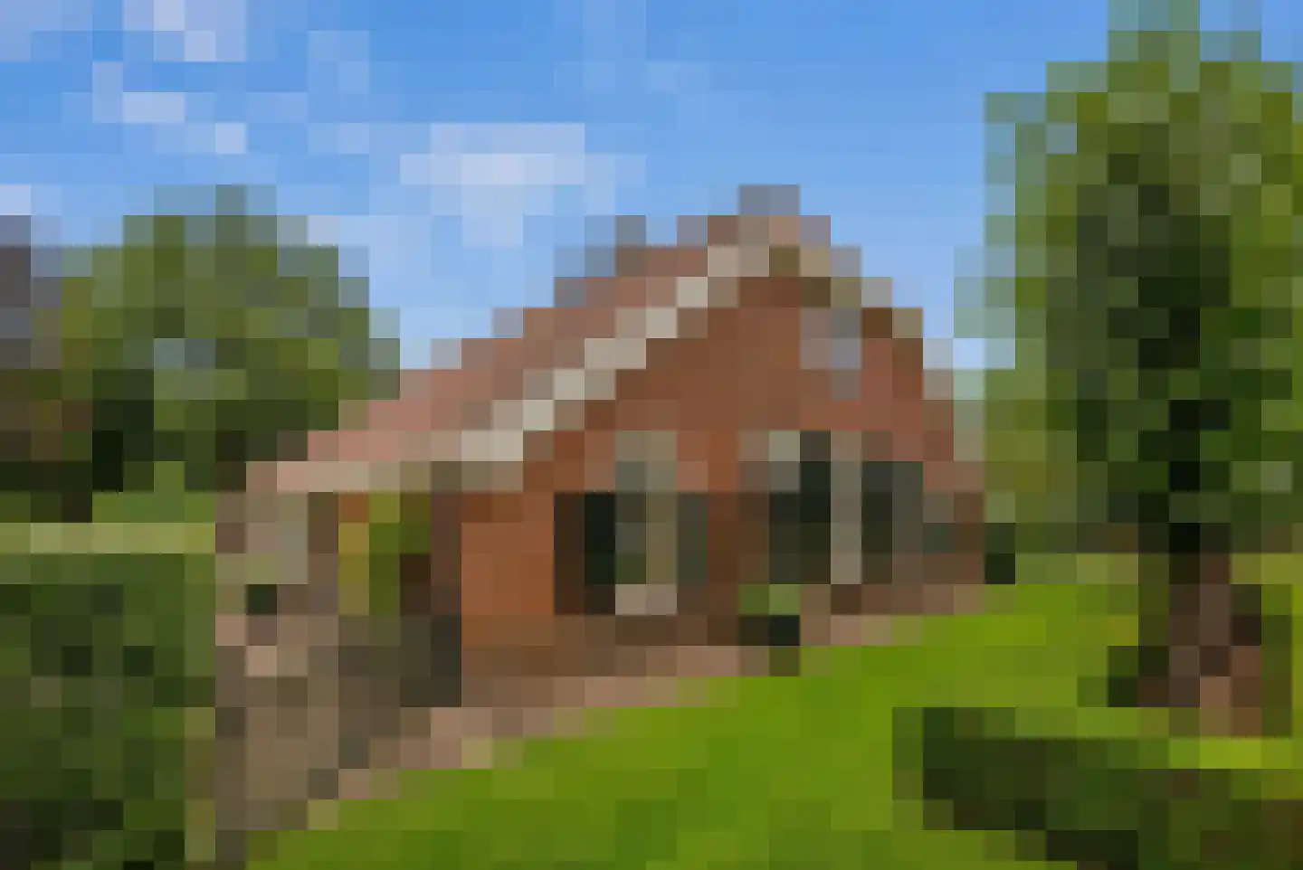 Kloosterhoeksweg 5 Wierden thumbnail 7