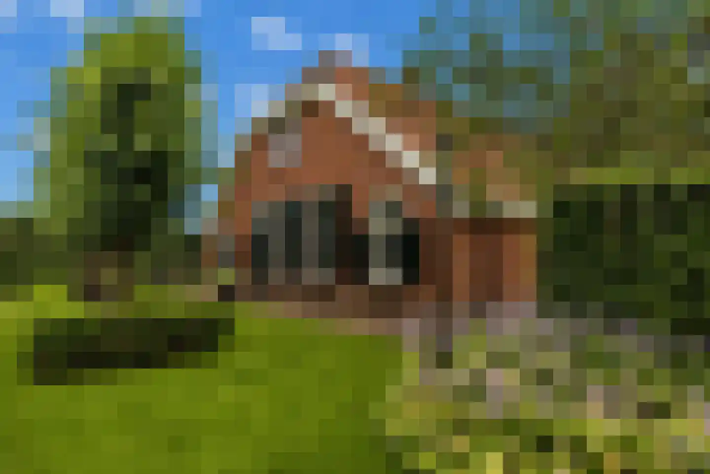 Kloosterhoeksweg 5 Wierden thumbnail 8
