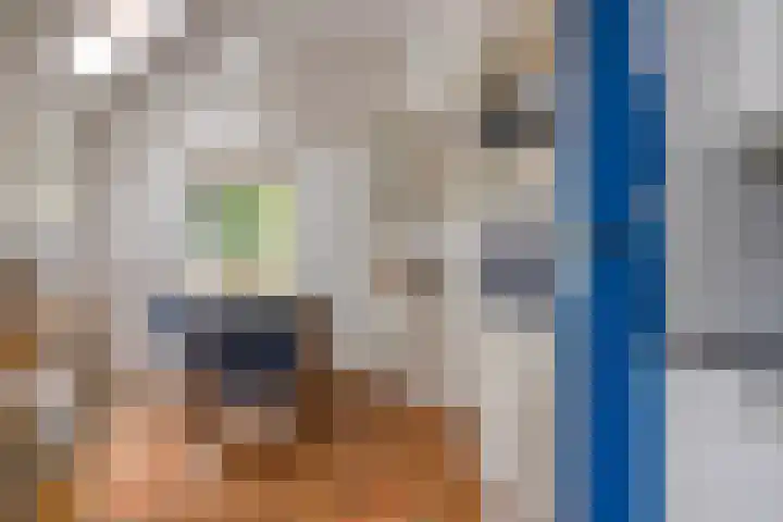 Kloosterhoekweg 11 Welsum thumbnail 14