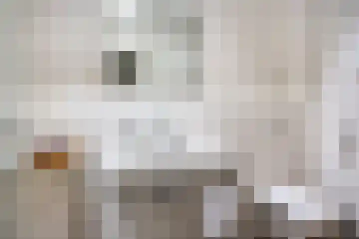 Kloosterhoekweg 11 Welsum thumbnail 18