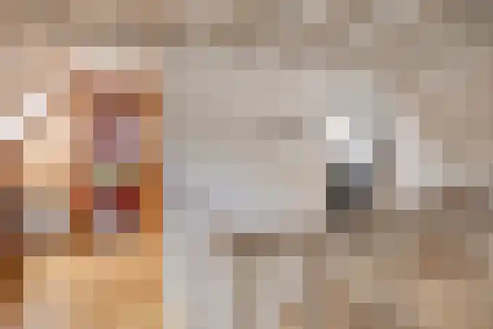 Kloosterhoekweg 11 Welsum thumbnail 25