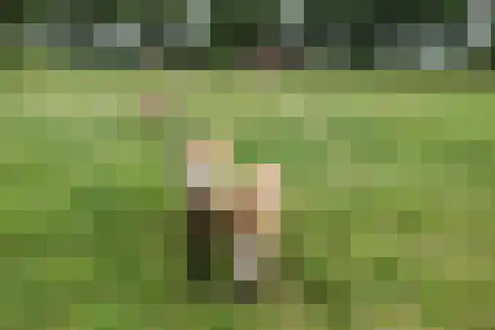 Kloosterhoekweg 11 Welsum thumbnail 35