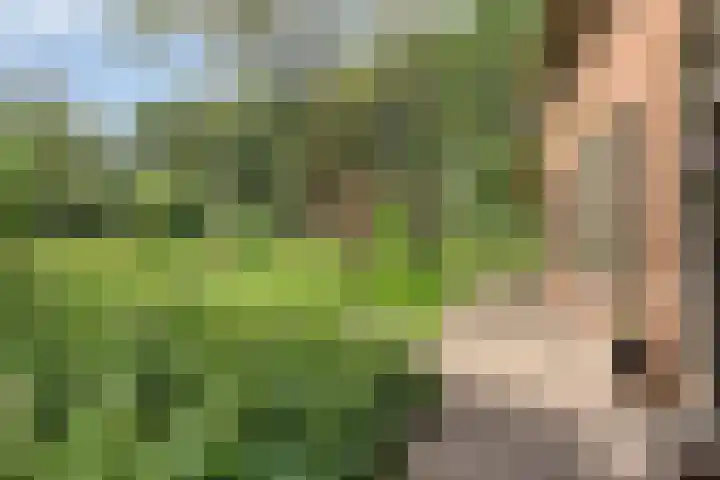 Kloosterhoekweg 11 Welsum thumbnail 36