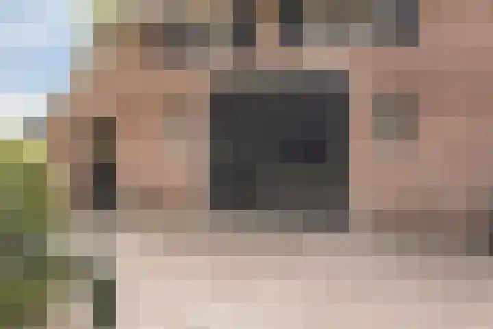 Kloosterhoekweg 11 Welsum thumbnail 39