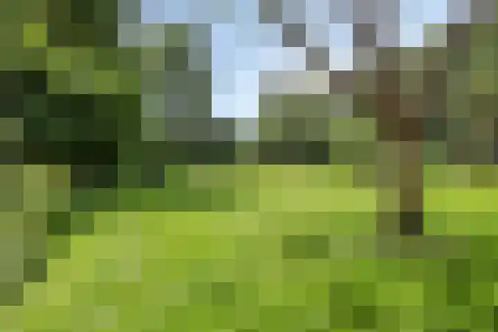 Kloosterhoekweg 11 Welsum thumbnail 40