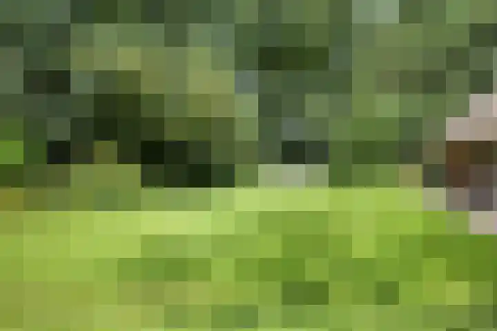 Kloosterhoekweg 11 Welsum thumbnail 41
