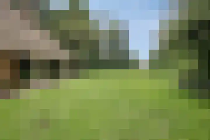 Kloosterhoekweg 11 Welsum thumbnail 42