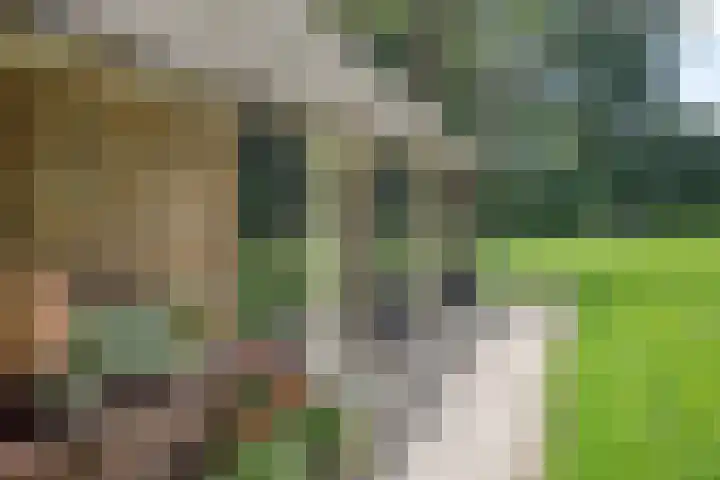 Kloosterhoekweg 11 Welsum thumbnail 43