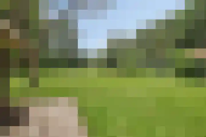 Kloosterhoekweg 11 Welsum thumbnail 44