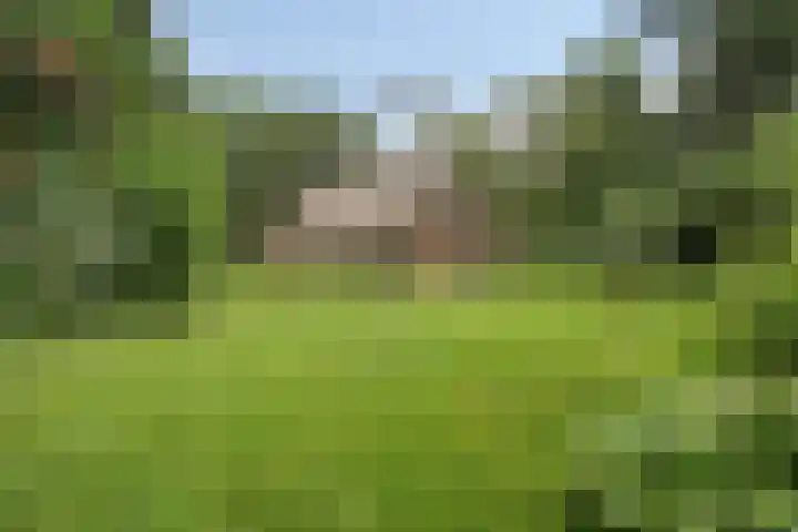 Kloosterhoekweg 11 Welsum thumbnail 46