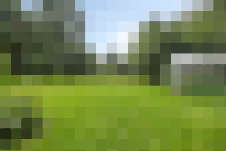 Kloosterhoekweg 11 Welsum thumbnail 47