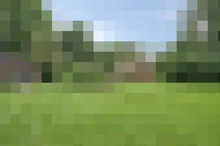 Kloosterhoekweg 11 Welsum thumbnail 48