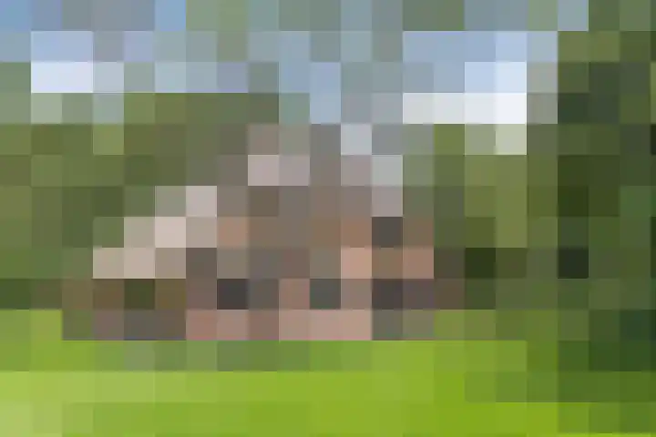 Kloosterhoekweg 11 Welsum thumbnail 49