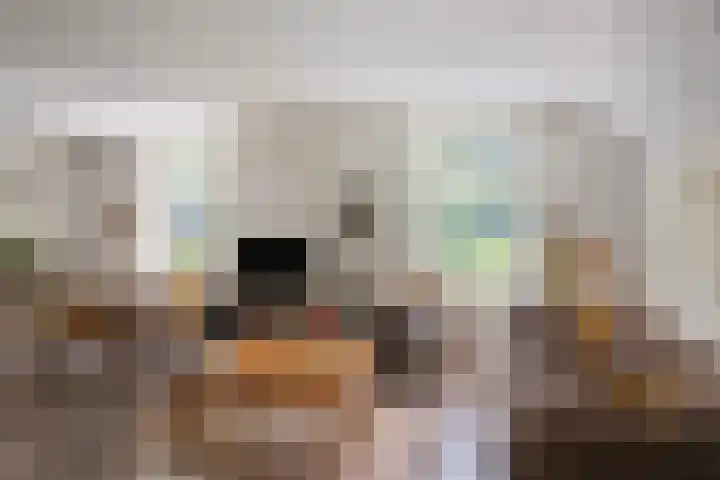Kloosterhoekweg 11 Welsum thumbnail 5