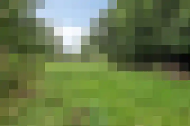 Kloosterhoekweg 11 Welsum thumbnail 50