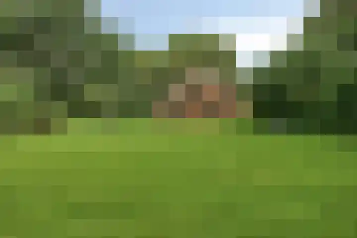 Kloosterhoekweg 11 Welsum thumbnail 51