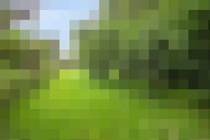 Kloosterhoekweg 11 Welsum thumbnail 52