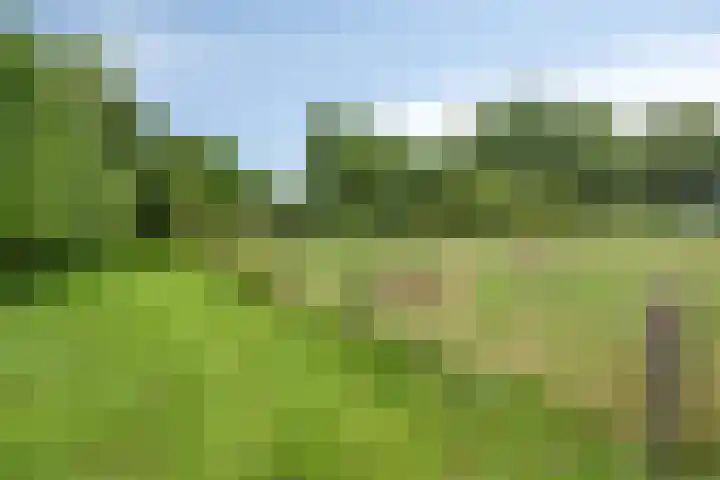 Kloosterhoekweg 11 Welsum thumbnail 53